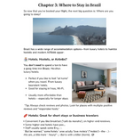 How To Do Brazil (Rio de Janeiro Edition) - shoptraveltees.com
